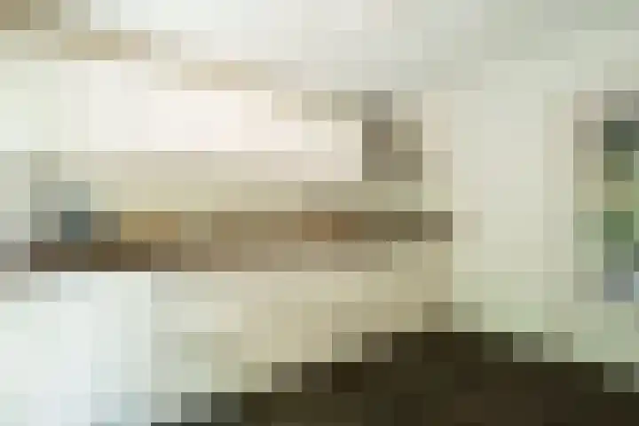Hermelijnlaan 3 Wageningen thumbnail 11
