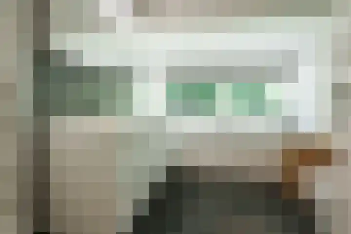 Hermelijnlaan 3 Wageningen thumbnail 24
