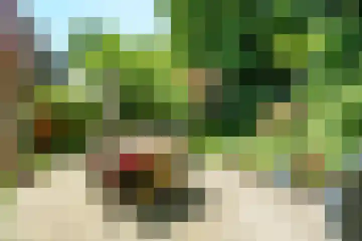 Hermelijnlaan 3 Wageningen thumbnail 27