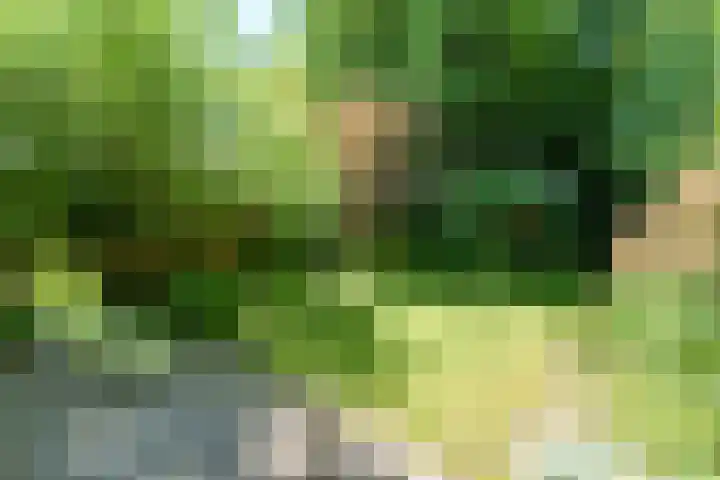 Hermelijnlaan 3 Wageningen thumbnail 28