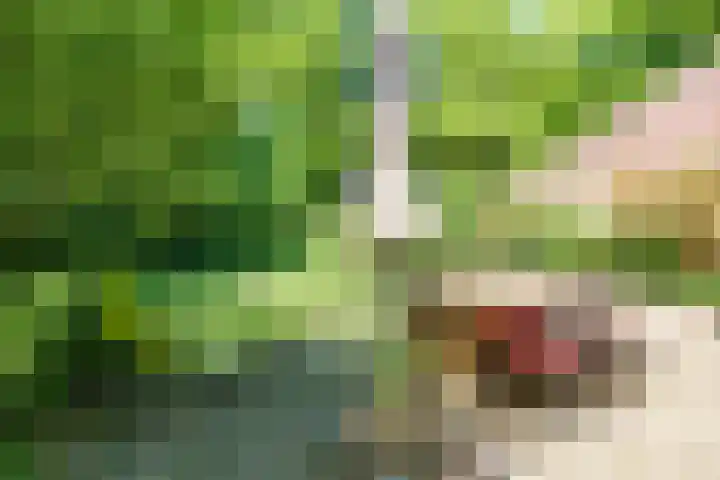 Hermelijnlaan 3 Wageningen thumbnail 29