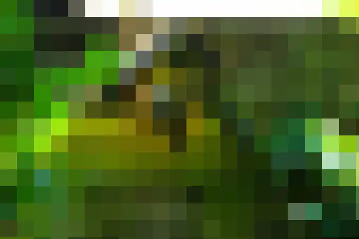 Hermelijnlaan 3 Wageningen thumbnail 30