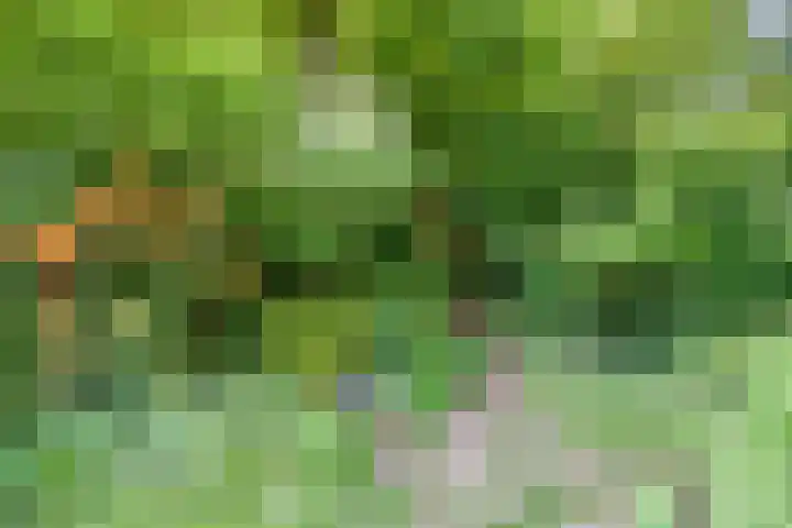 Hermelijnlaan 3 Wageningen thumbnail 31