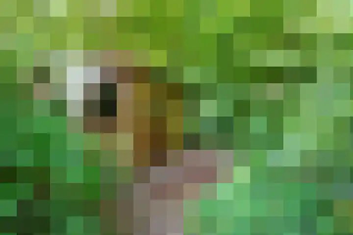 Hermelijnlaan 3 Wageningen thumbnail 32