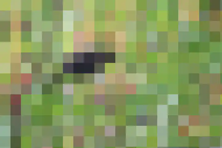 Hermelijnlaan 3 Wageningen thumbnail 33