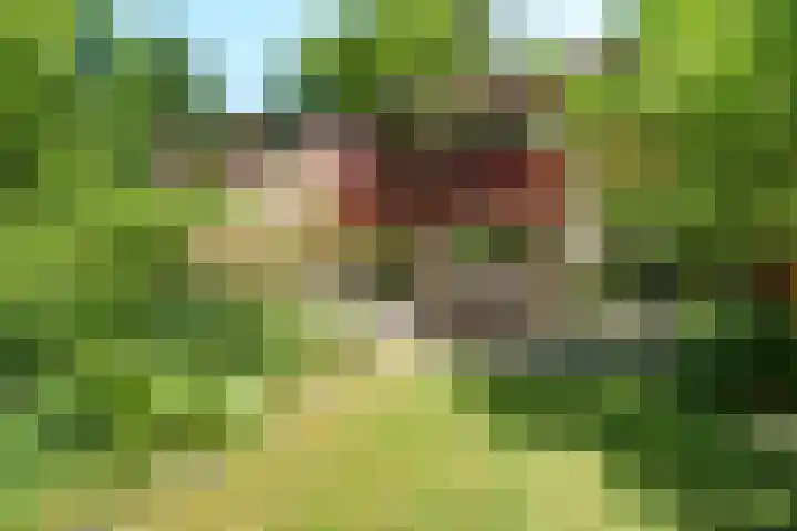 Hermelijnlaan 3 Wageningen thumbnail 34