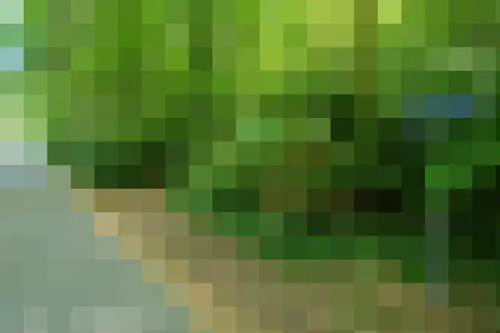 Hermelijnlaan 3 Wageningen thumbnail 35