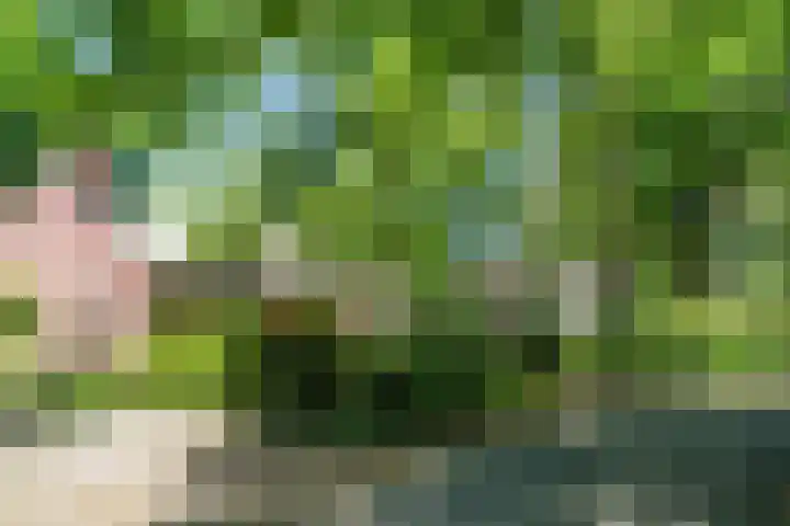Hermelijnlaan 3 Wageningen thumbnail 4