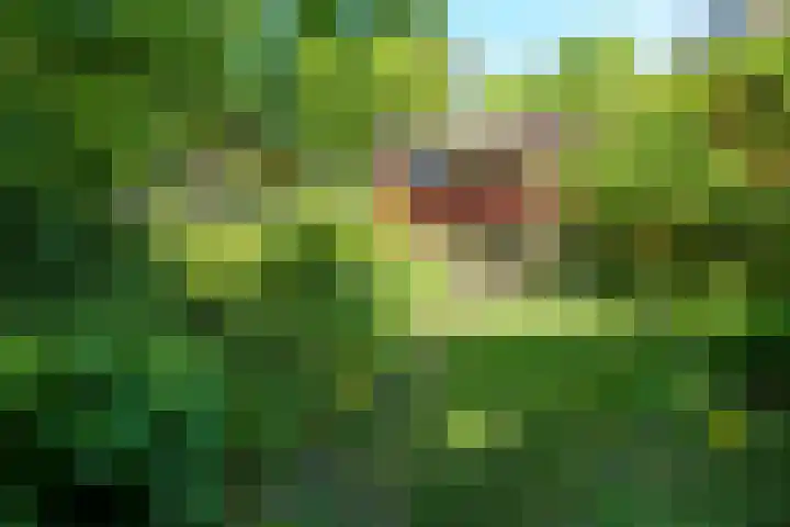 Hermelijnlaan 3 Wageningen thumbnail 40