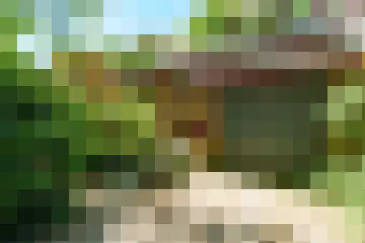 Hermelijnlaan 3 Wageningen thumbnail 5