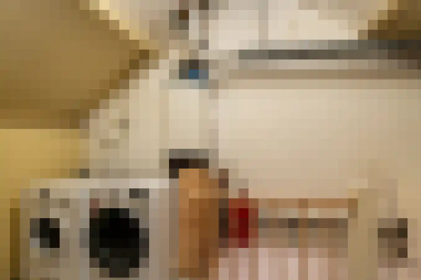 Hermelijnlaan 4 Winschoten thumbnail 34
