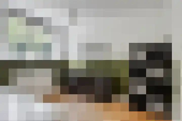 Hermelijnlaan 50 Veenendaal thumbnail 18