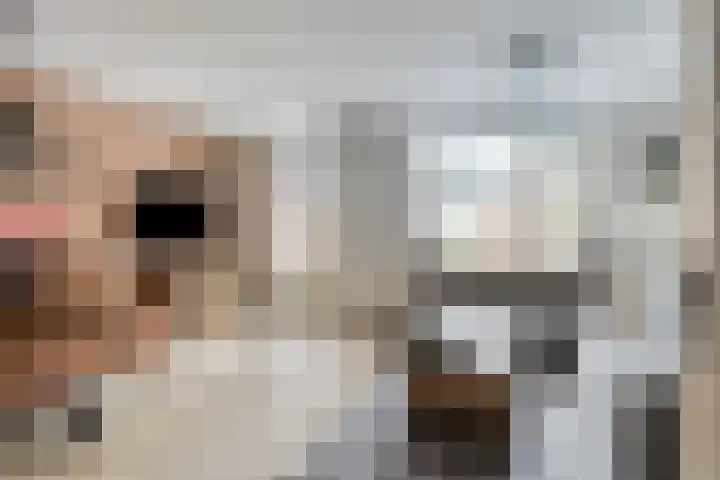 Hermelijnlaan 50 Veenendaal thumbnail 7