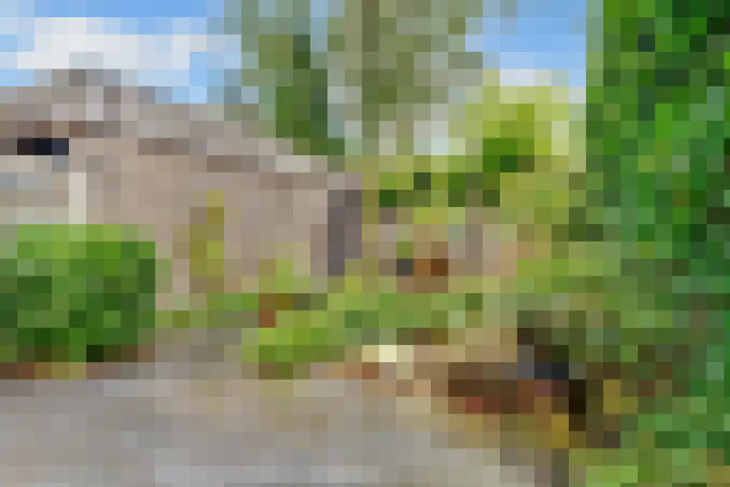 Hermelijnlaan 8 Den Dolder thumbnail 25