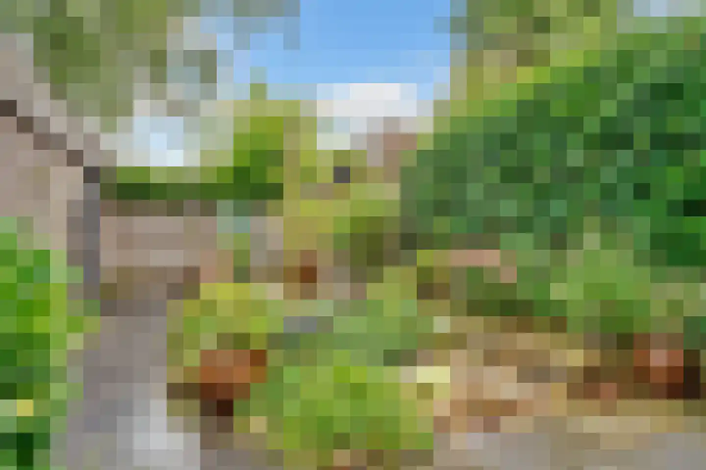 Hermelijnlaan 8 Den Dolder thumbnail 26