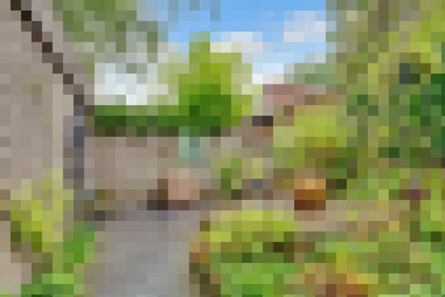 Hermelijnlaan 8 Den Dolder thumbnail 27