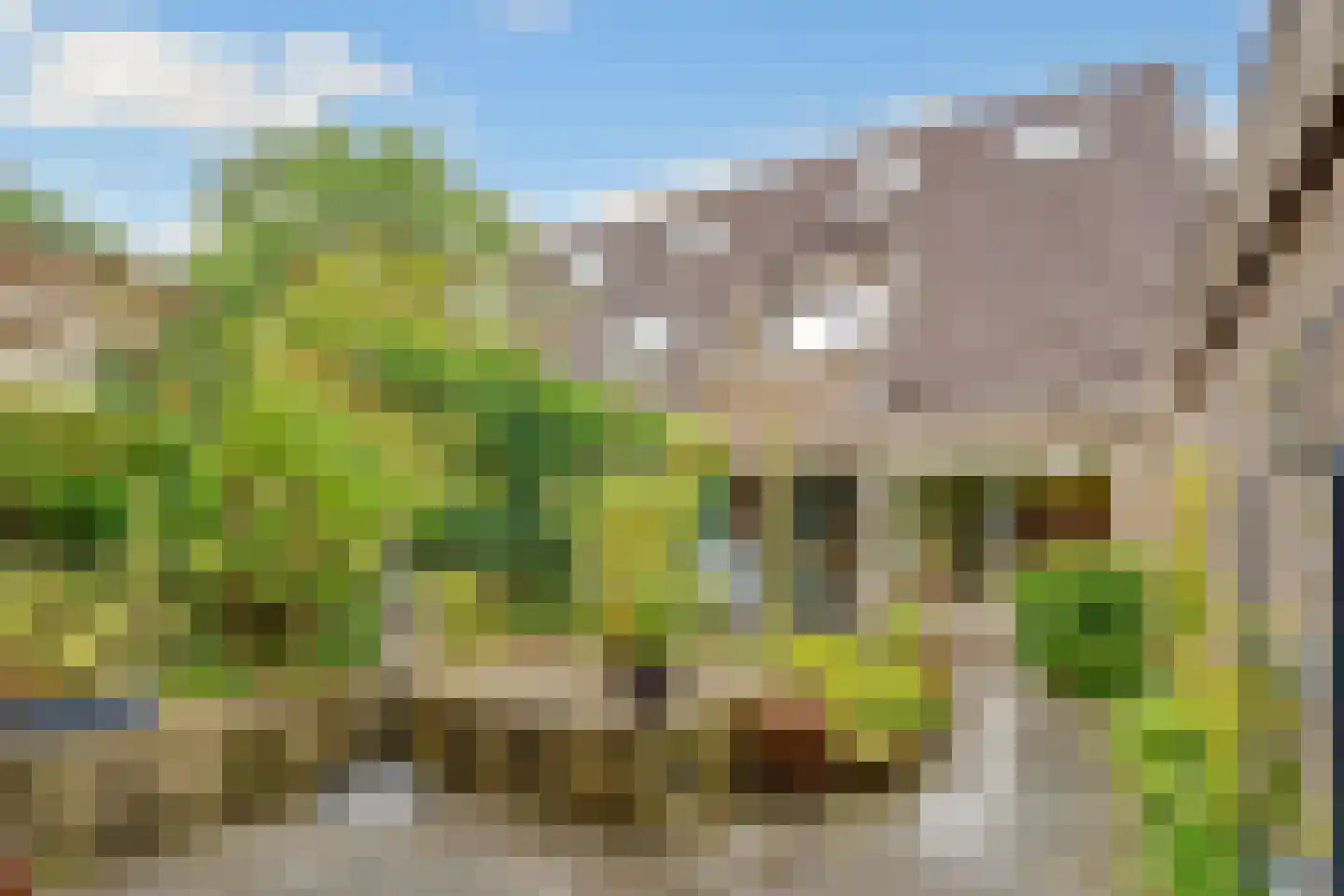 Hermelijnlaan 8 Den Dolder thumbnail 28