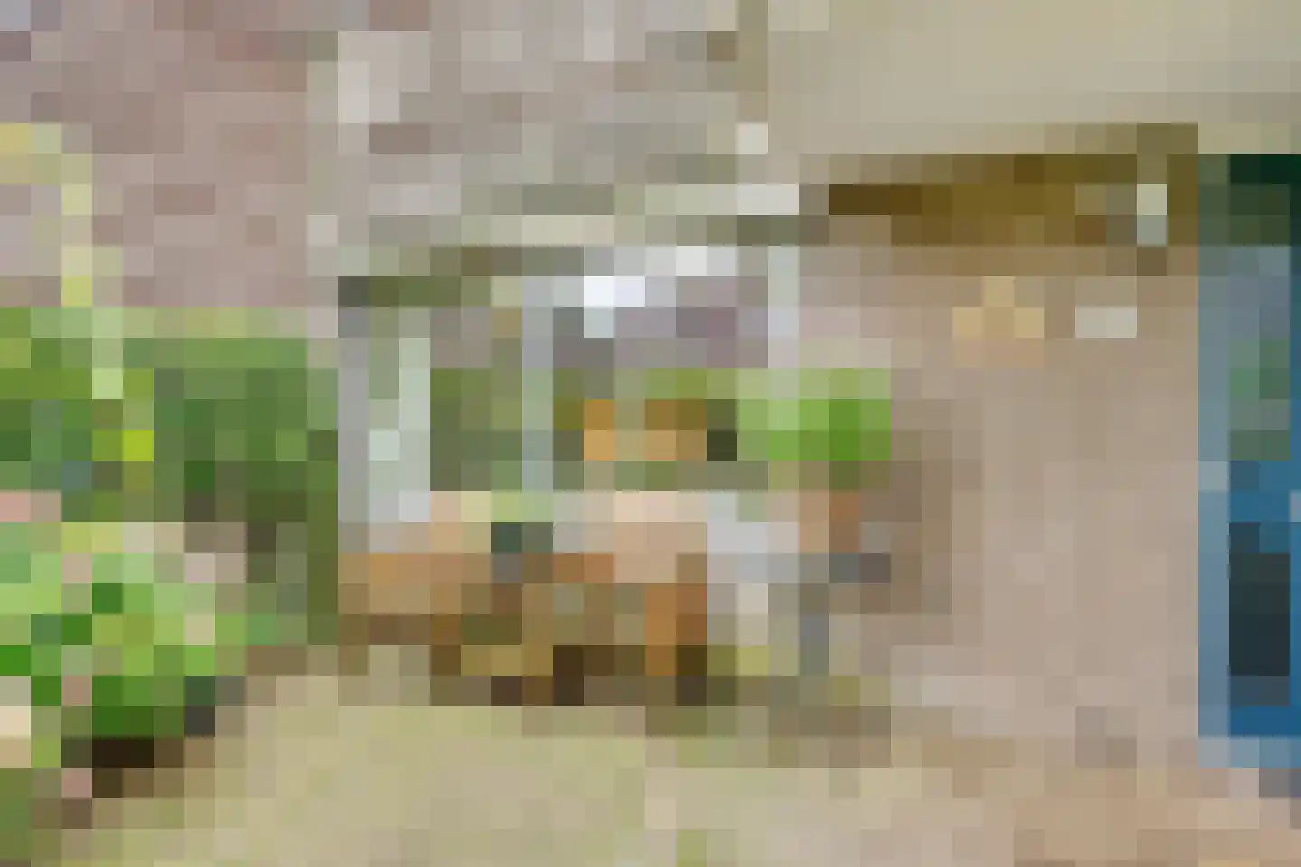 Hermelijnlaan 8 Den Dolder thumbnail 4