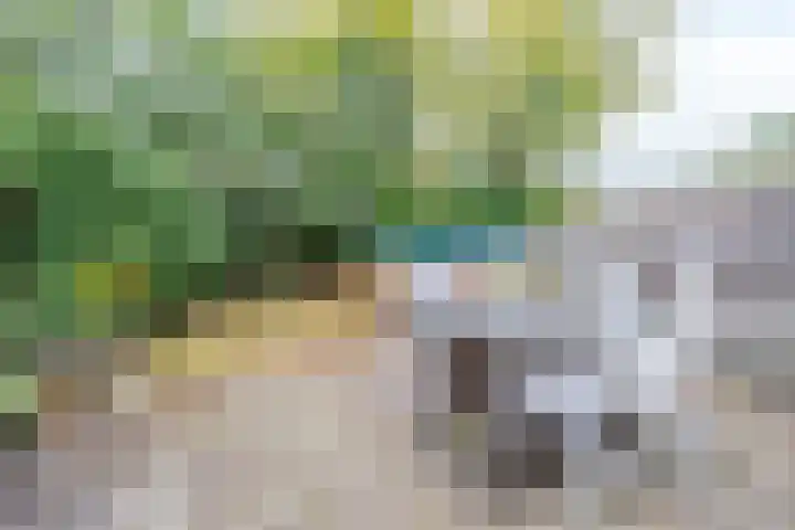 Hermelijnlaan 8 Winschoten thumbnail 12