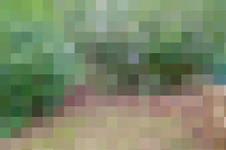 Hermelijnlaan 8 Winschoten thumbnail 13