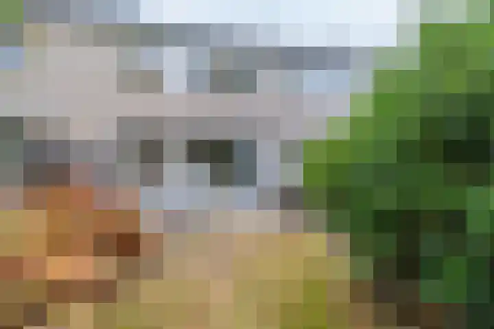 Hermelijnlaan 8 Winschoten thumbnail 13