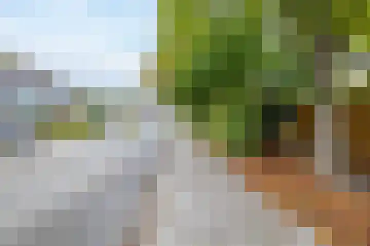 Hermelijnlaan 8 Winschoten thumbnail 14