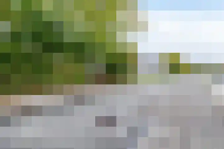 Hermelijnlaan 8 Winschoten thumbnail 15
