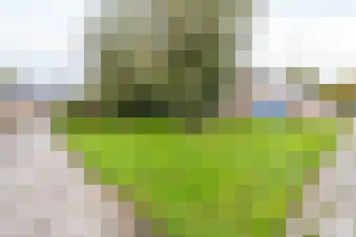 Hermelijnlaan 8 Winschoten thumbnail 4