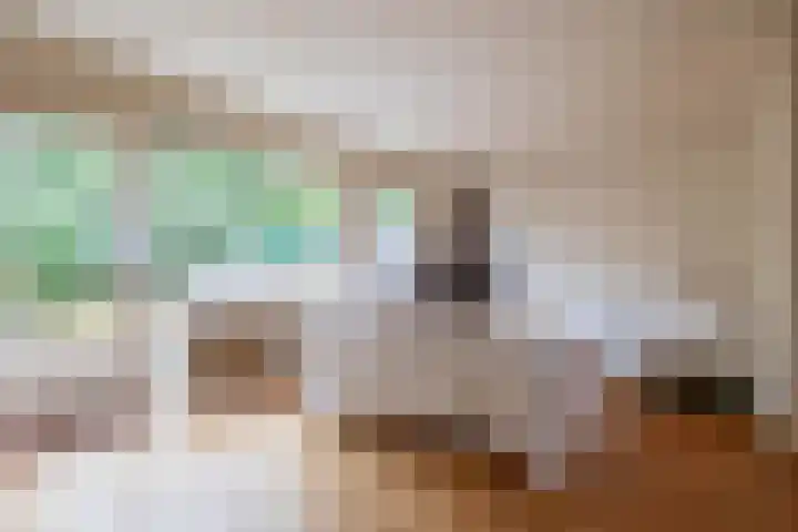 Hermelijnlaan 8 Winschoten thumbnail 8