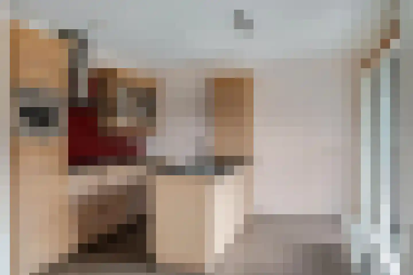 Hermelijnlaan 98 Veenendaal thumbnail 12