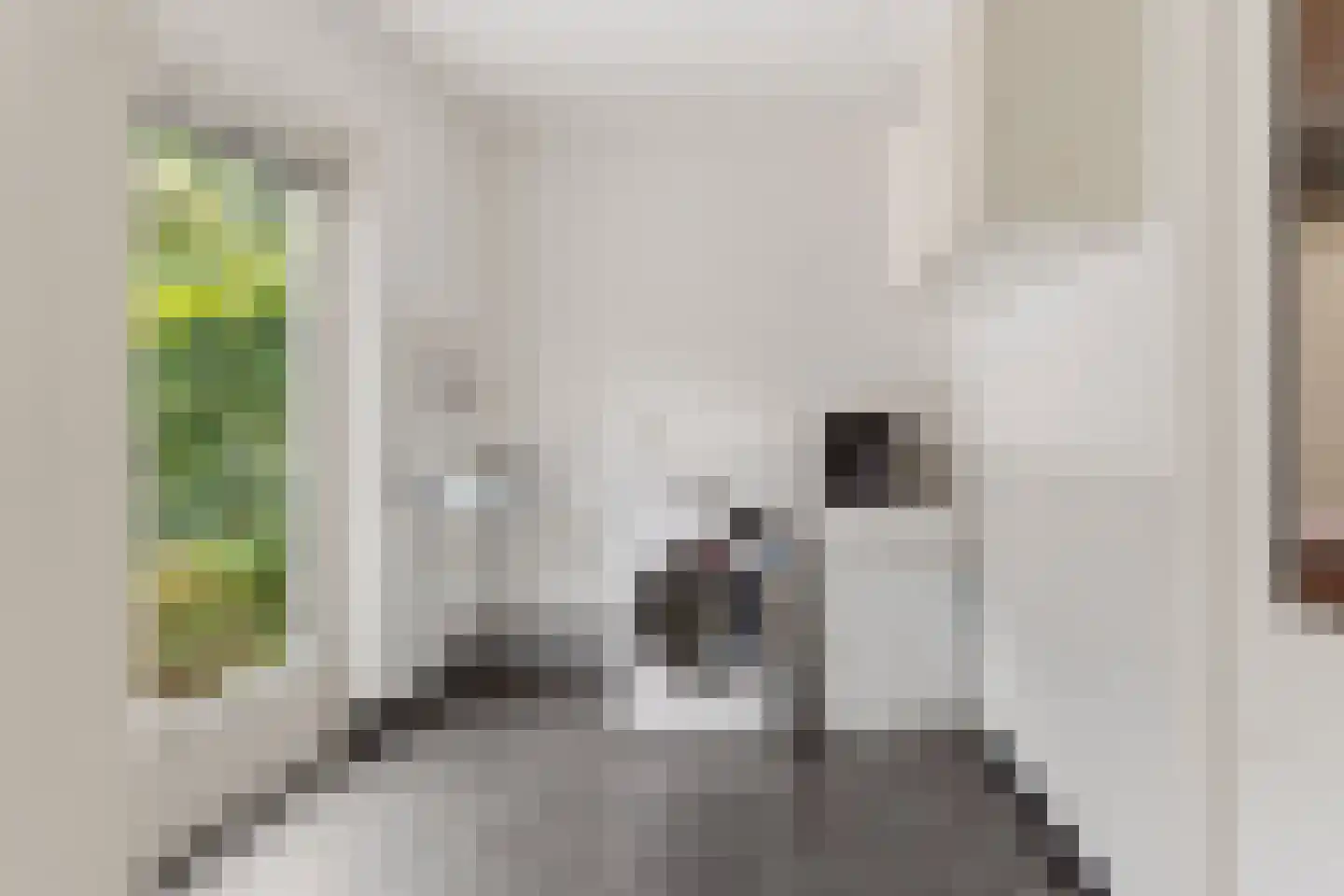 Hermelijnsingel 11 Bergen L thumbnail 14