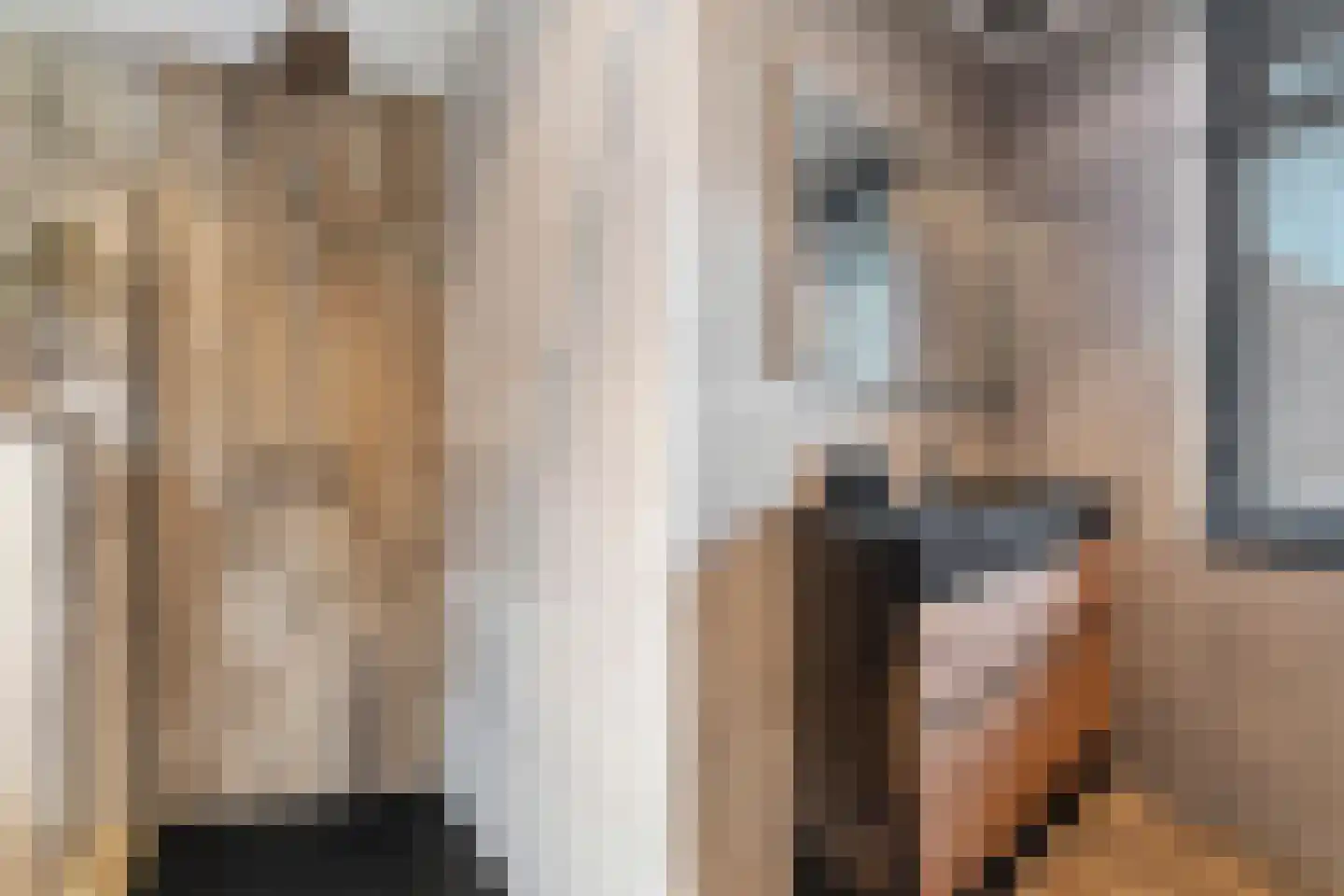 Hermelijnsingel 11 Bergen L thumbnail 18
