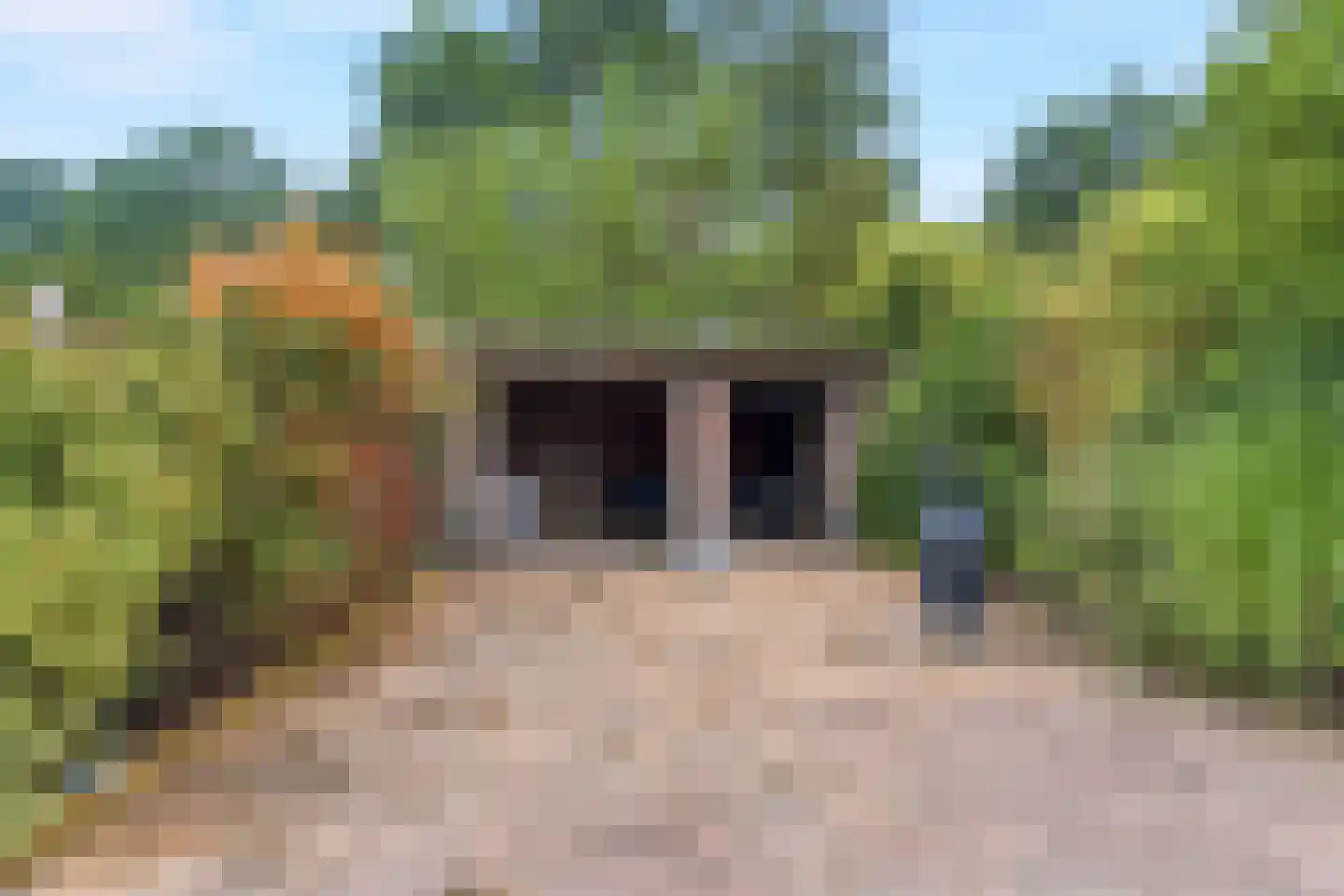 Hermelijnsingel 11 Bergen L thumbnail 23
