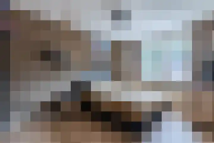 Hermelijnsingel 12 Bergen L thumbnail 12