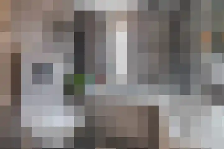 Hermelijnsingel 12 Bergen L thumbnail 18
