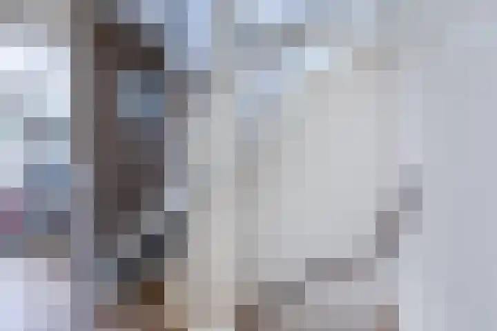 Hermelijnsingel 12 Bergen L thumbnail 19