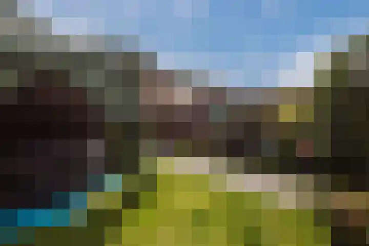 Hermelijnsingel 12 Bergen L thumbnail 5