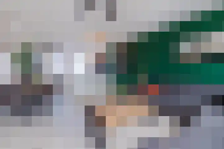 Hermelijnsingel 12 Bergen L thumbnail 8