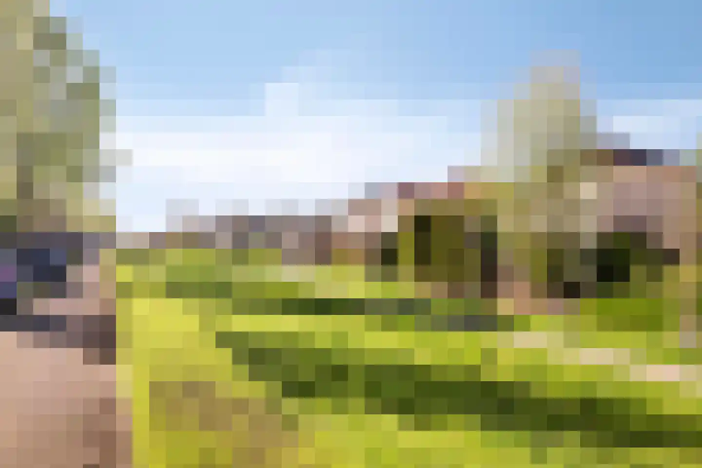Hermelijnsingel 13 Culemborg thumbnail 47