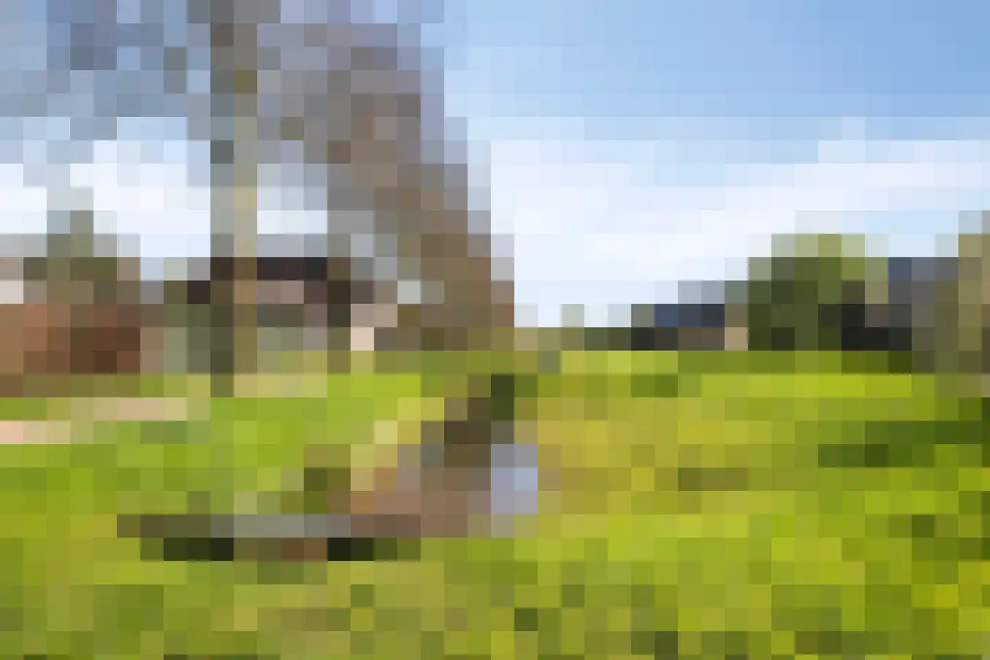 Hermelijnsingel 13 Culemborg thumbnail 48