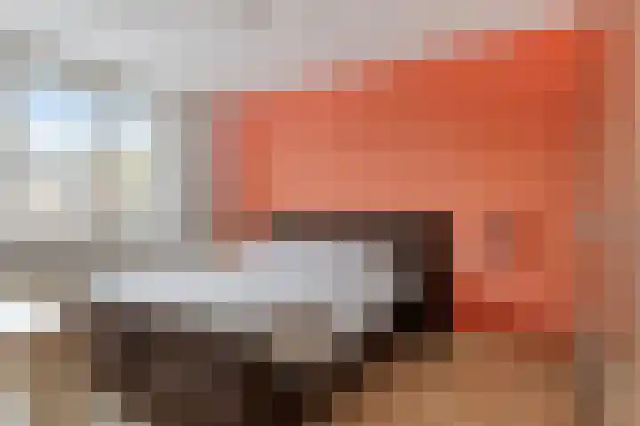 Hermelijnsingel 20 Bergen L thumbnail 12