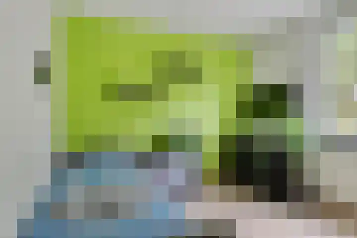 Hermelijnsingel 20 Bergen L thumbnail 14