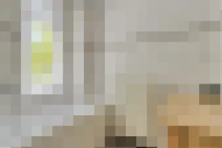 Hermelijnsingel 20 Bergen L thumbnail 19