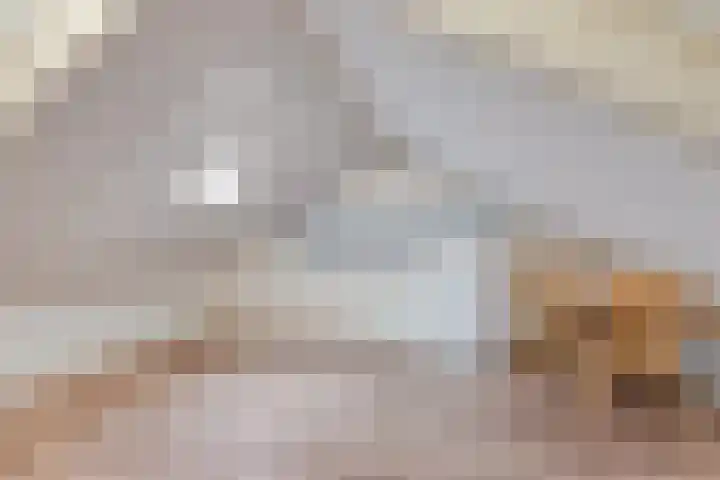 Hermelijnsingel 20 Bergen L thumbnail 21