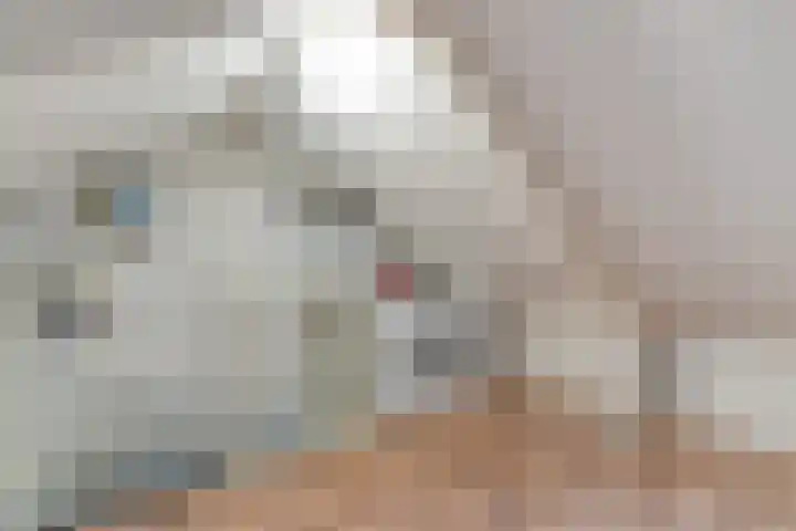 Hermelijnsingel 20 Bergen L thumbnail 22