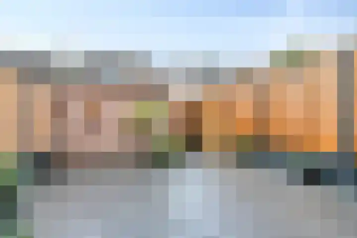 Hermelijnsingel 20 Bergen L thumbnail 26