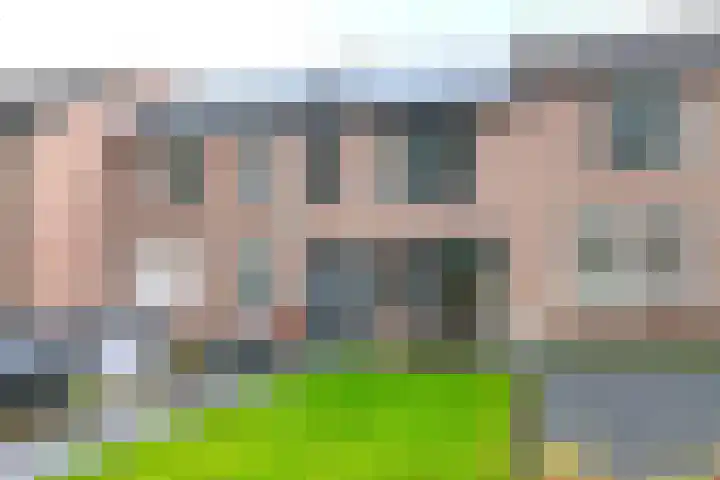 Hermelijnsingel 20 Bergen L thumbnail 30