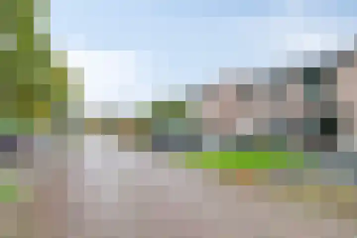 Hermelijnsingel 20 Bergen L thumbnail 31
