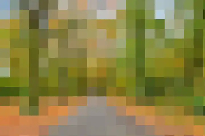 Hermelijnsingel 20 Bergen L thumbnail 32