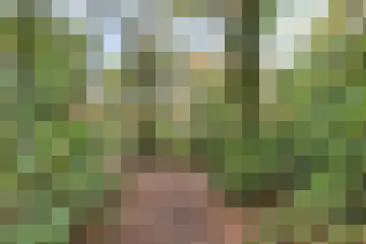 Hermelijnsingel 20 Bergen L thumbnail 34